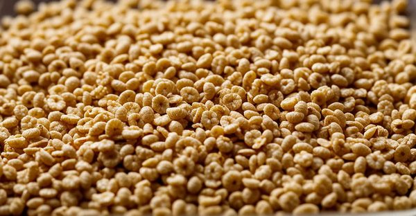 Céréales saines : le choix nutritif pour un petit-déjeuner équilibré